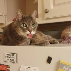 Meet your Posher, Linda